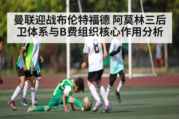 曼联迎战布伦特福德 阿莫林三后卫体系与B费组织核心作用分析